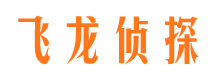 西平寻人公司